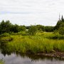 <palign=center> Parc national La Mauricie, sentier entre le lac Édouard et le lac Étienne